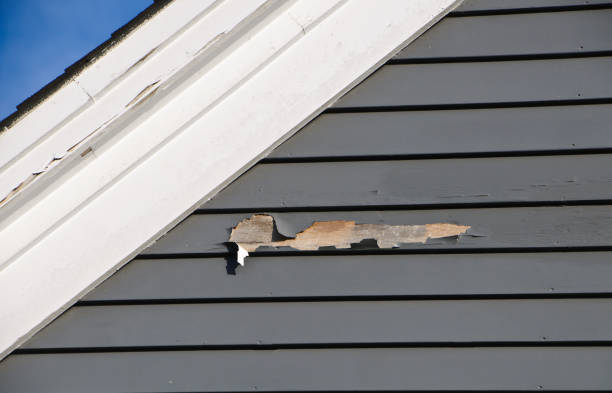 Best Insulated Siding Installation  in Montara, CA